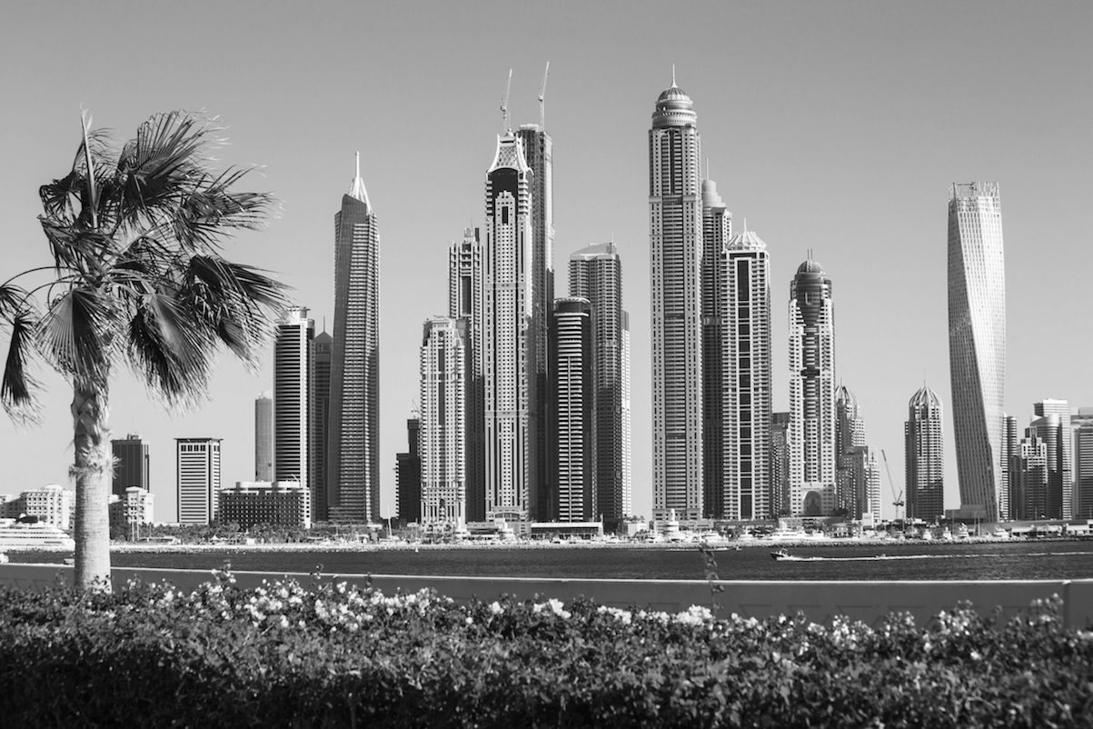 Dubai skyscrapers with palm tree