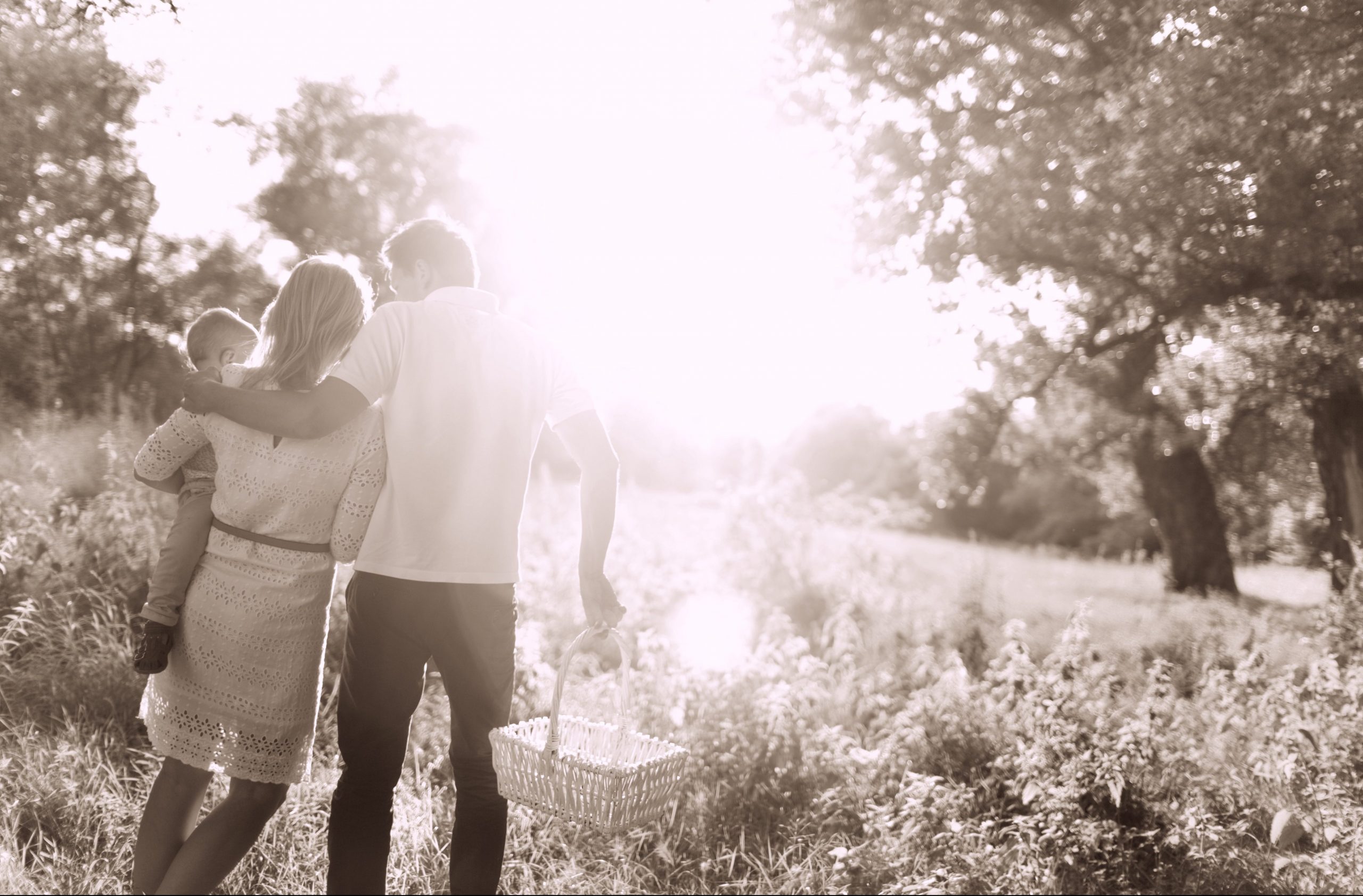 Family with picnic basket walking into a field