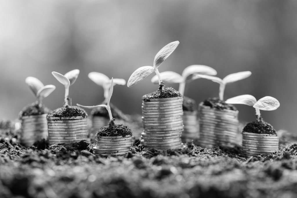Piles of coins with seedlings growing out of the top of them