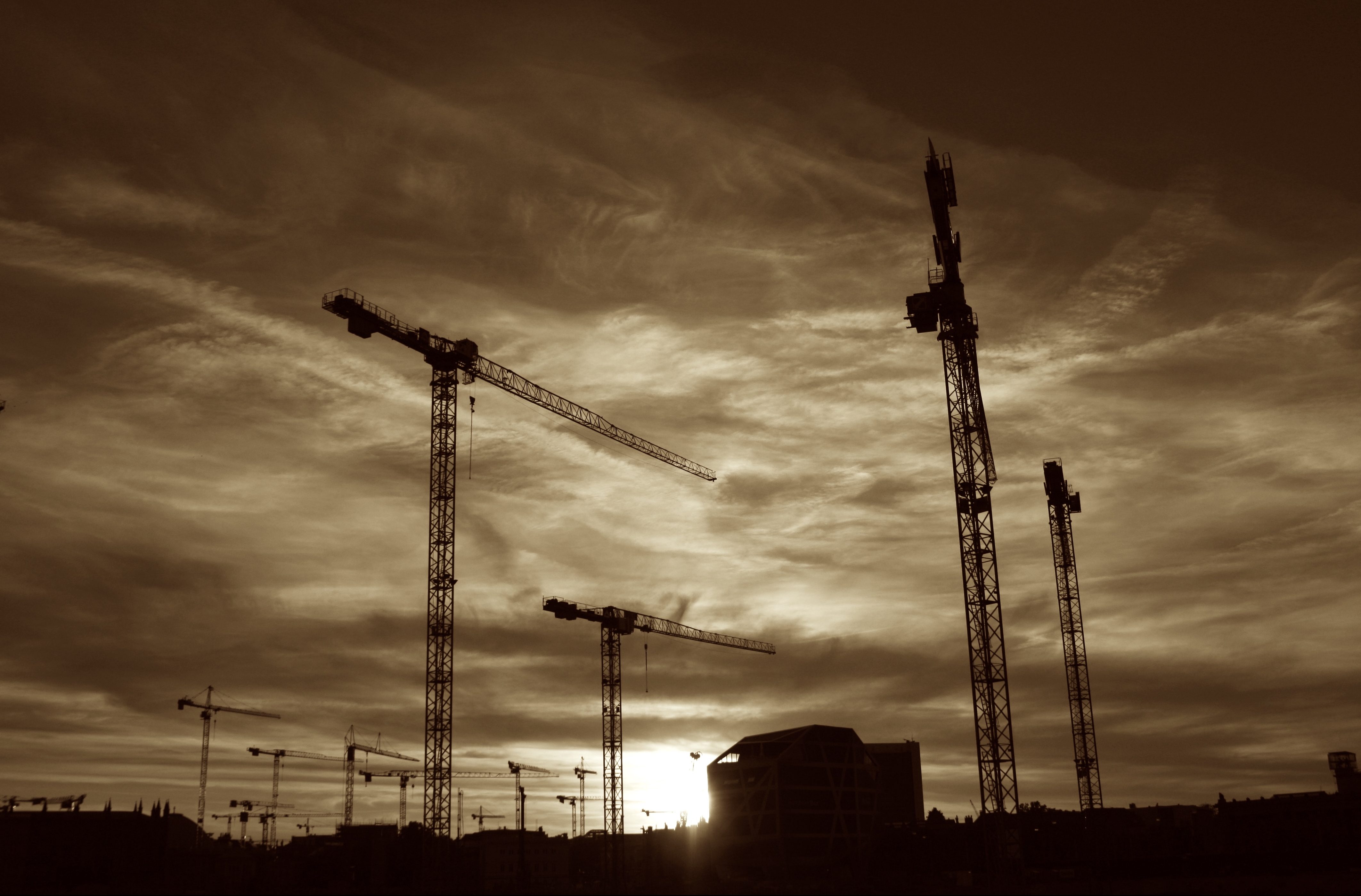 Cranes outlined against the sunset