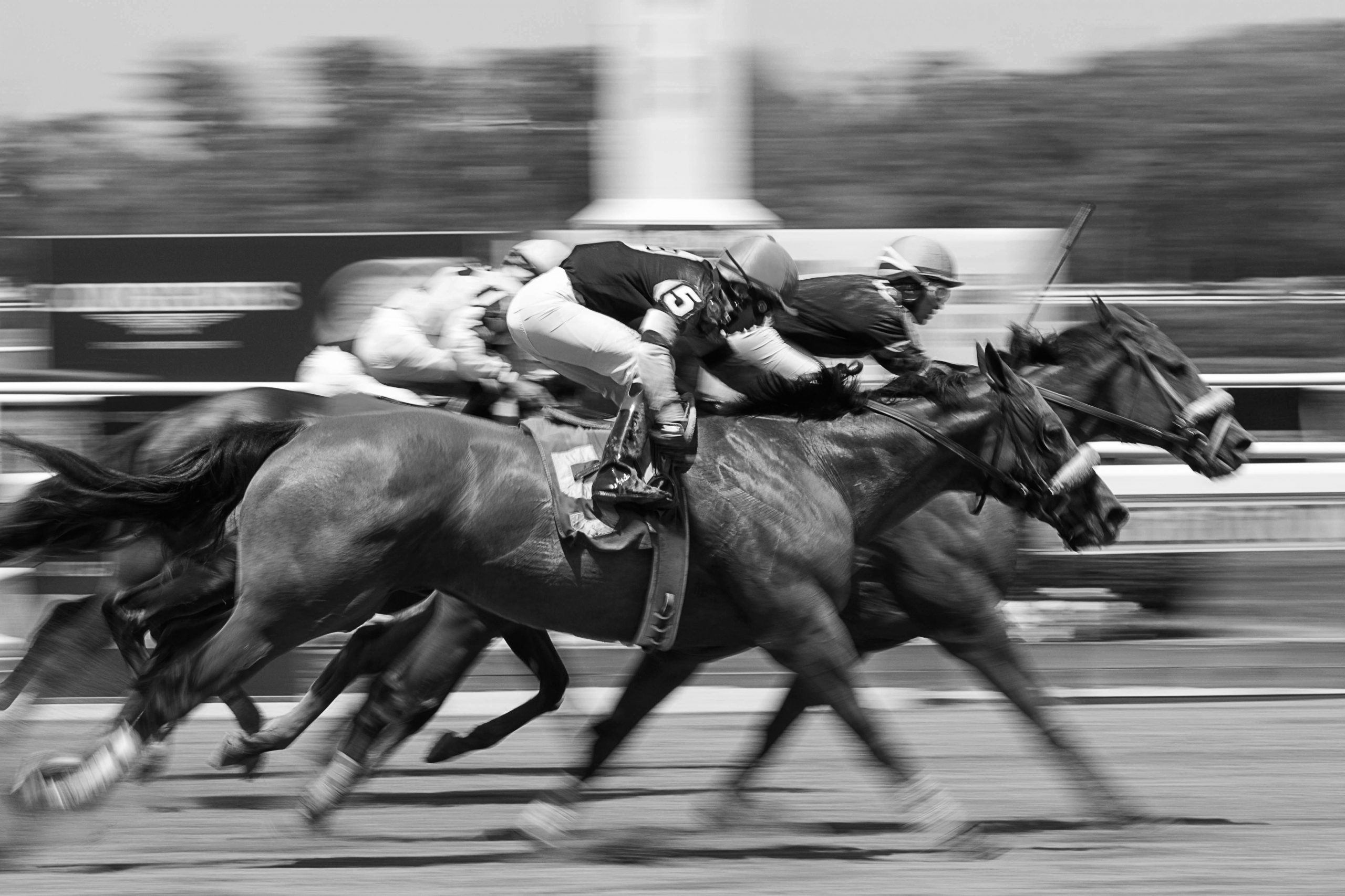 The history and economics of British racecourses