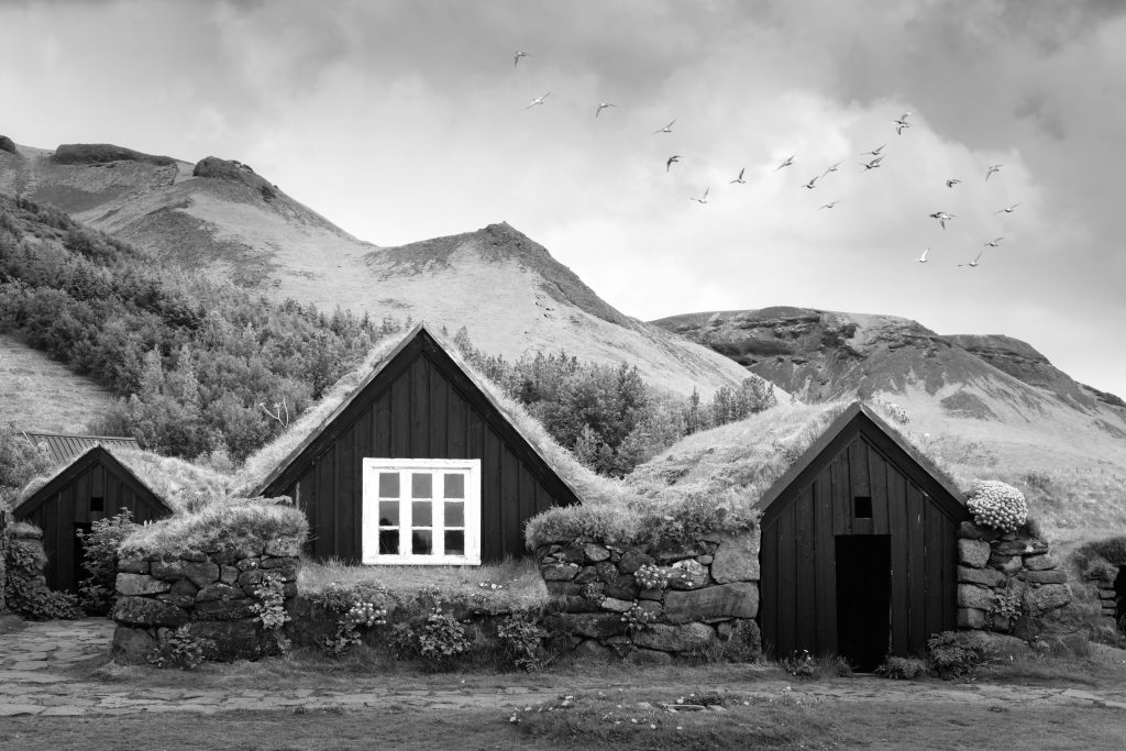 Traditional houses with grass on roof in Iceland