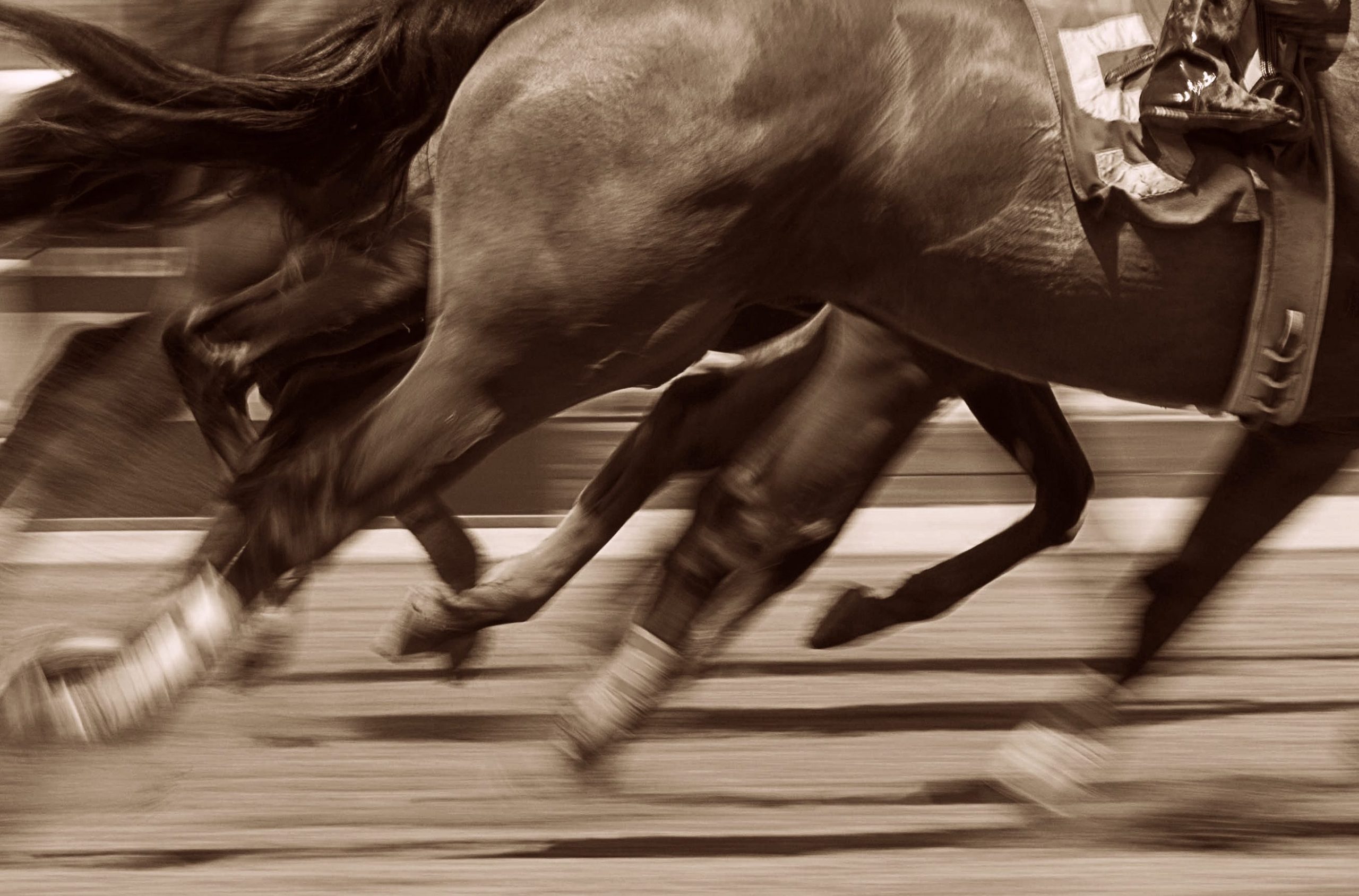 Lingfield Park and the struggle for modern economic prosperity