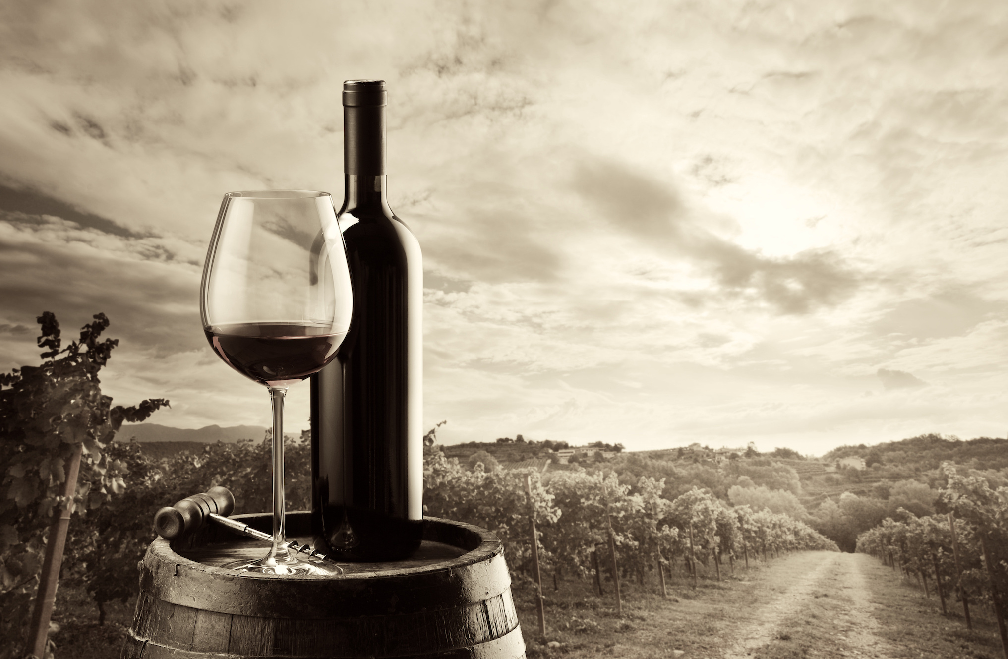Wine Owners, The Fine Wine Market & En Primeur Purchasing