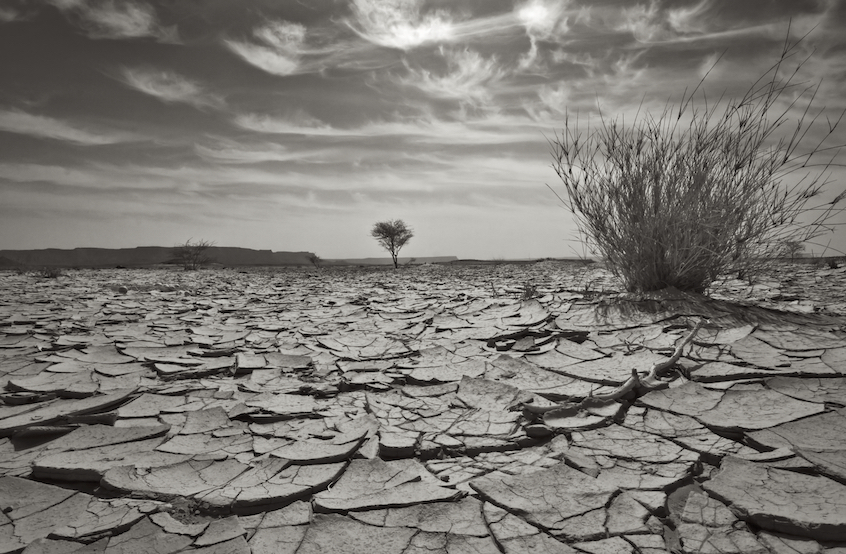 Can South Africa’s catastrophic land grab be stopped?
