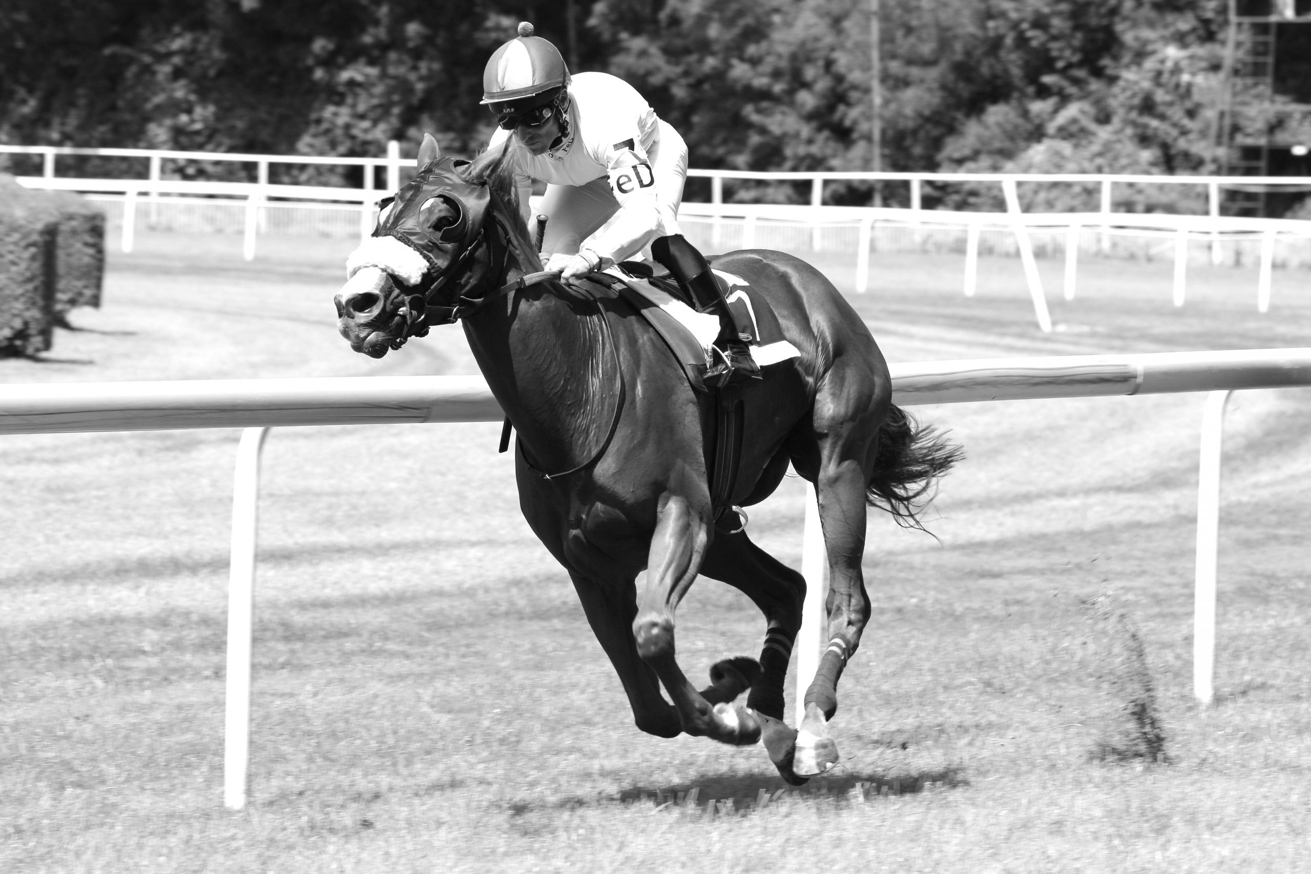 The Grand National Experience