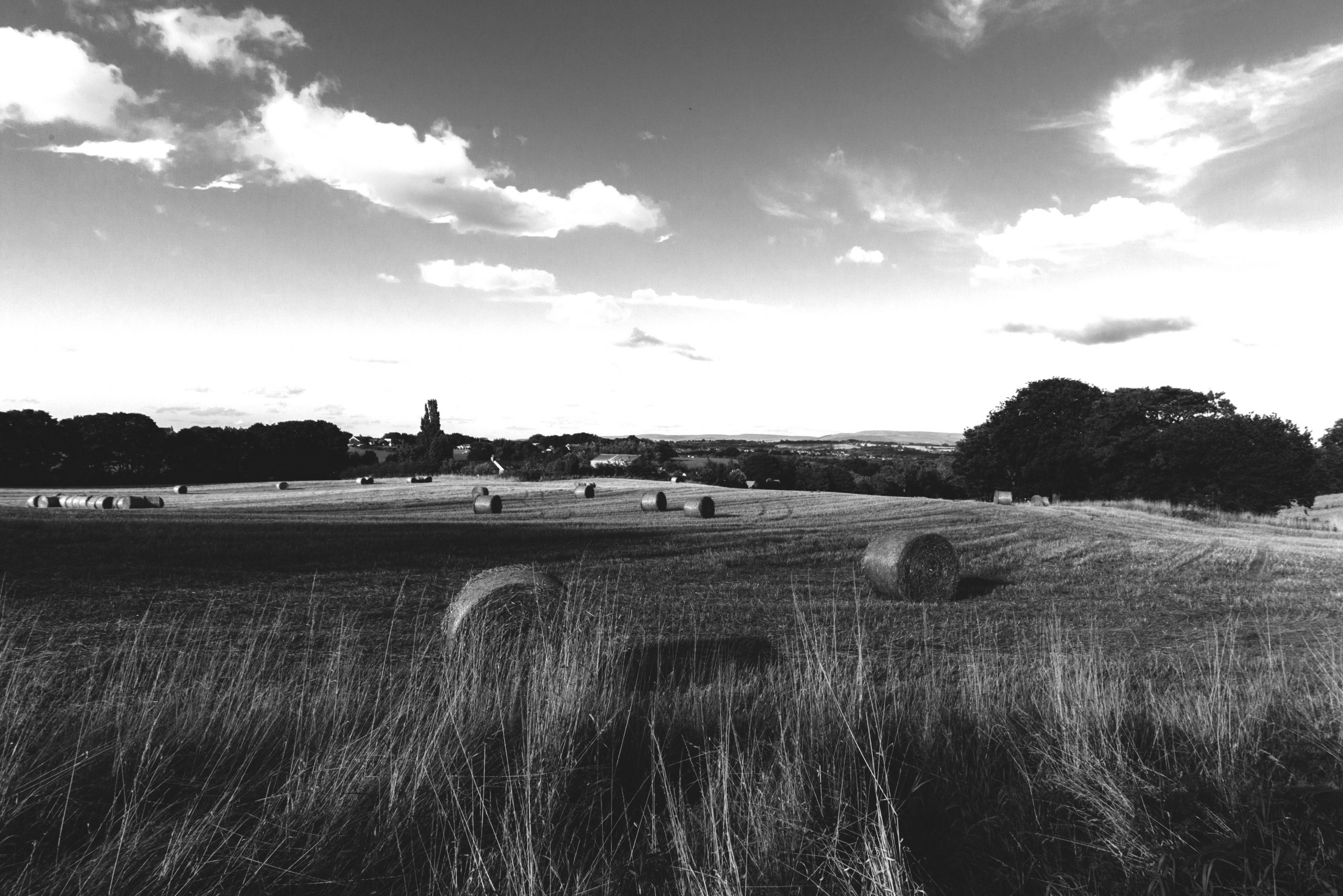What NZ farms can tell us about life after Brexit