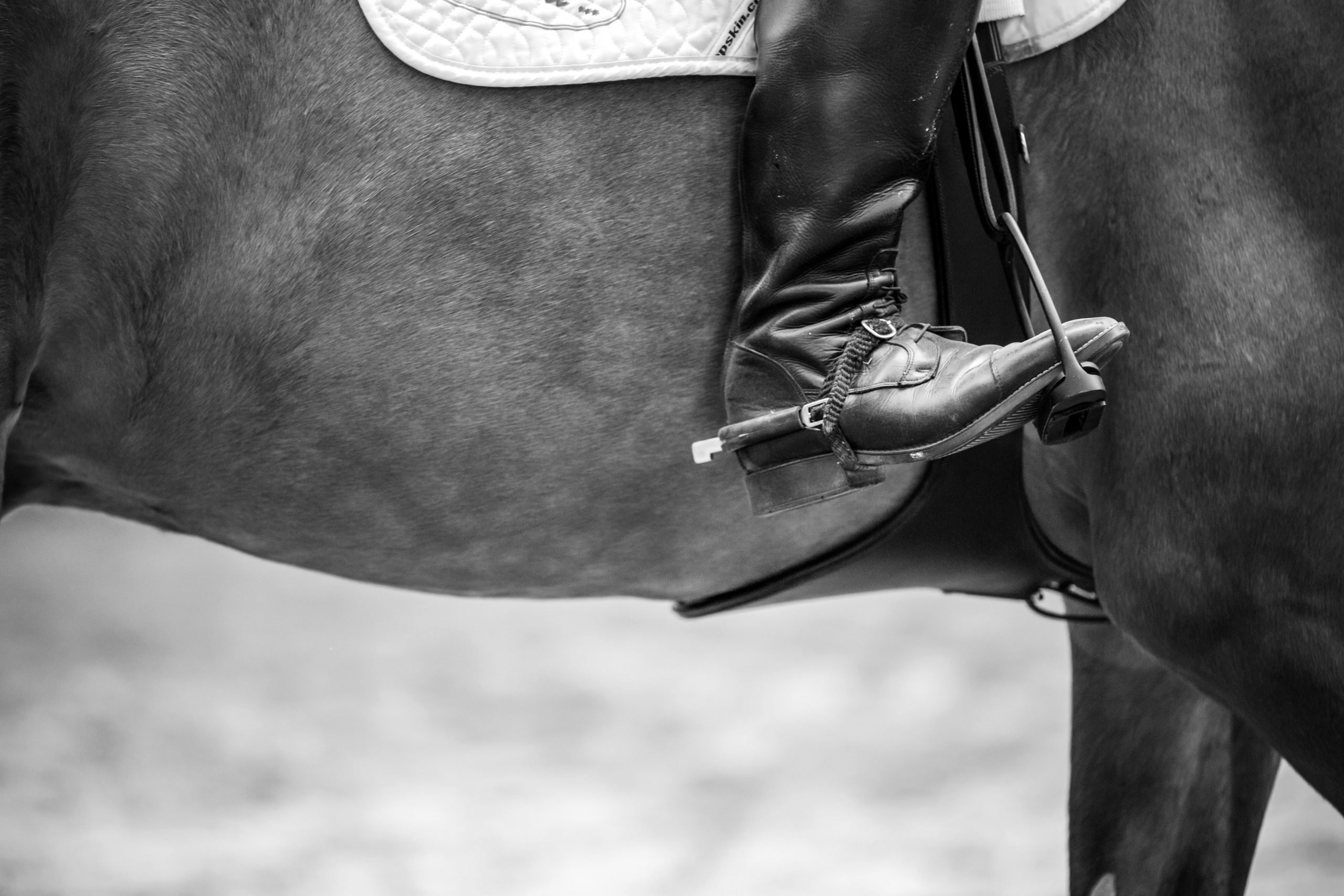 The Iroquois Steeplechase