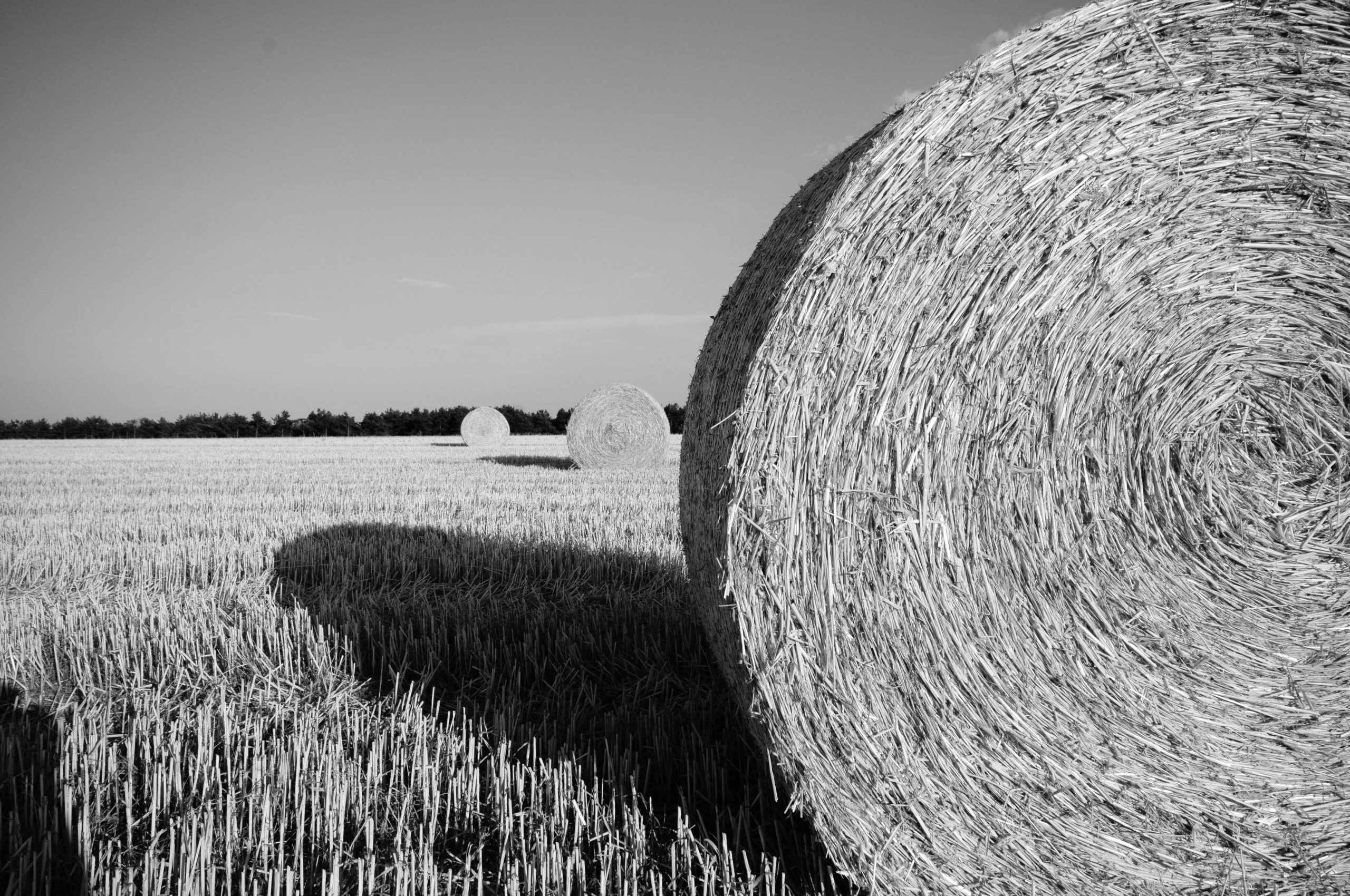 Volatility to Explain High Historical Farmland Returns