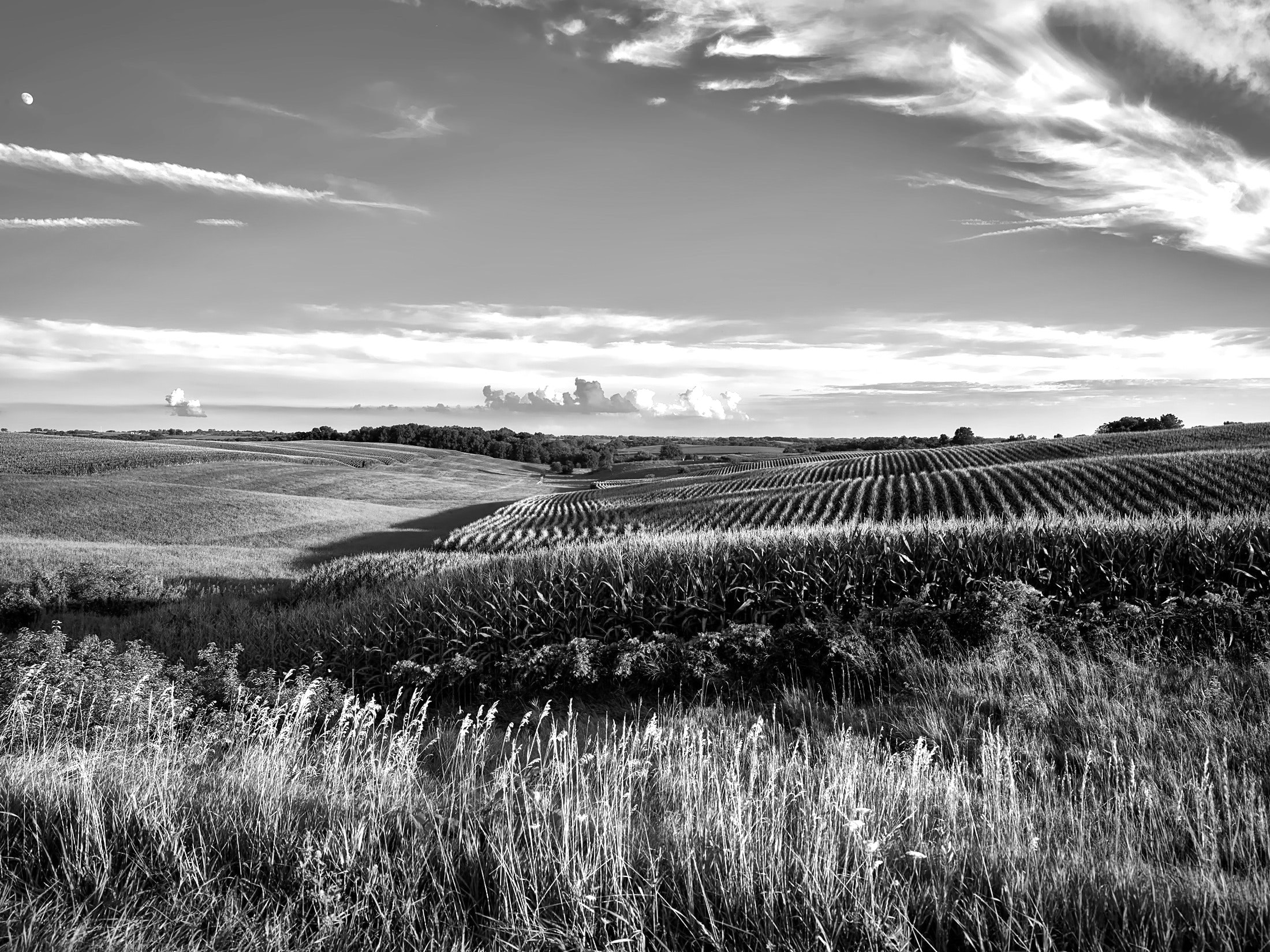 How to build on this green and pleasant land