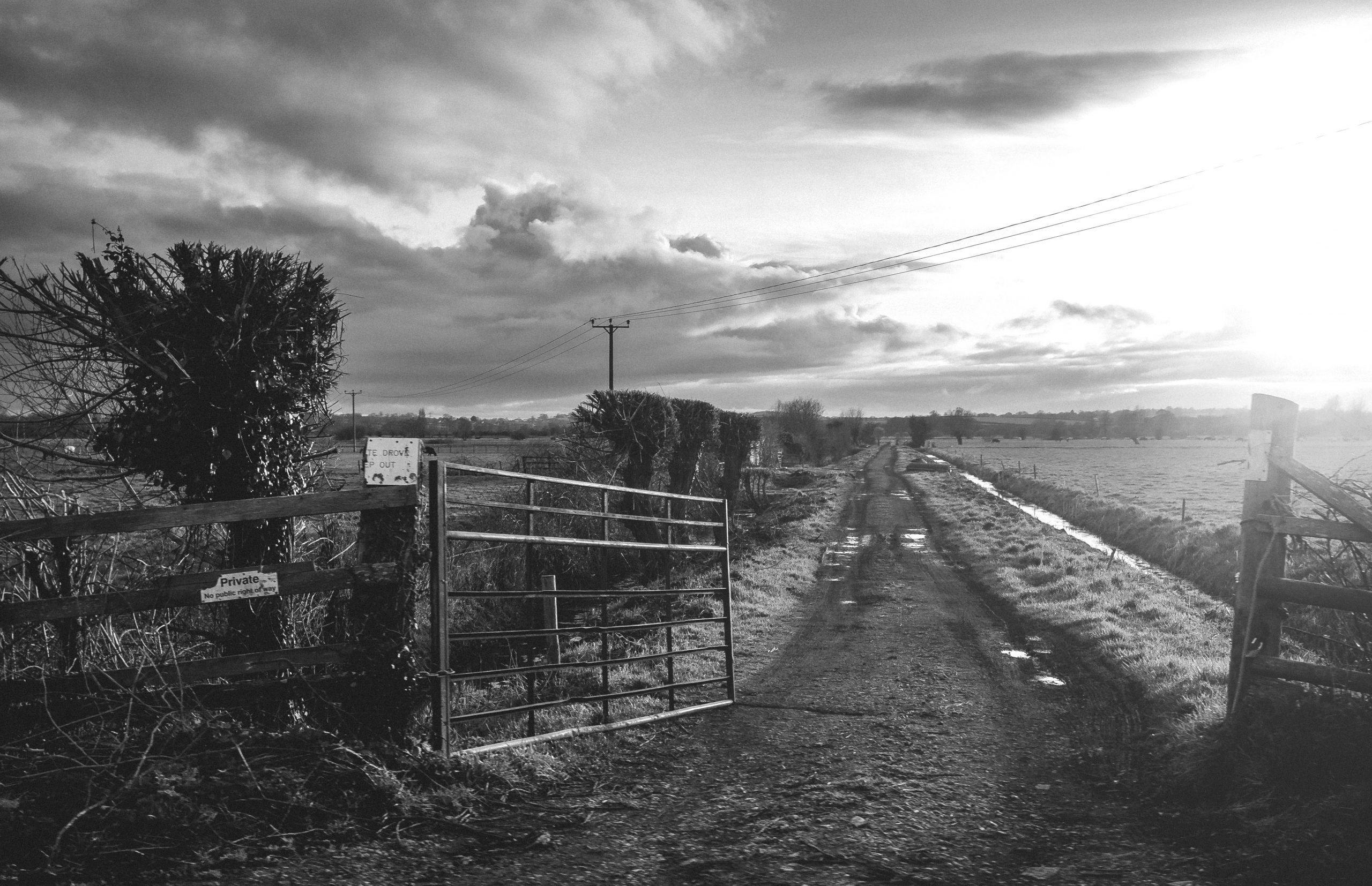 Brexit and UK Agriculture