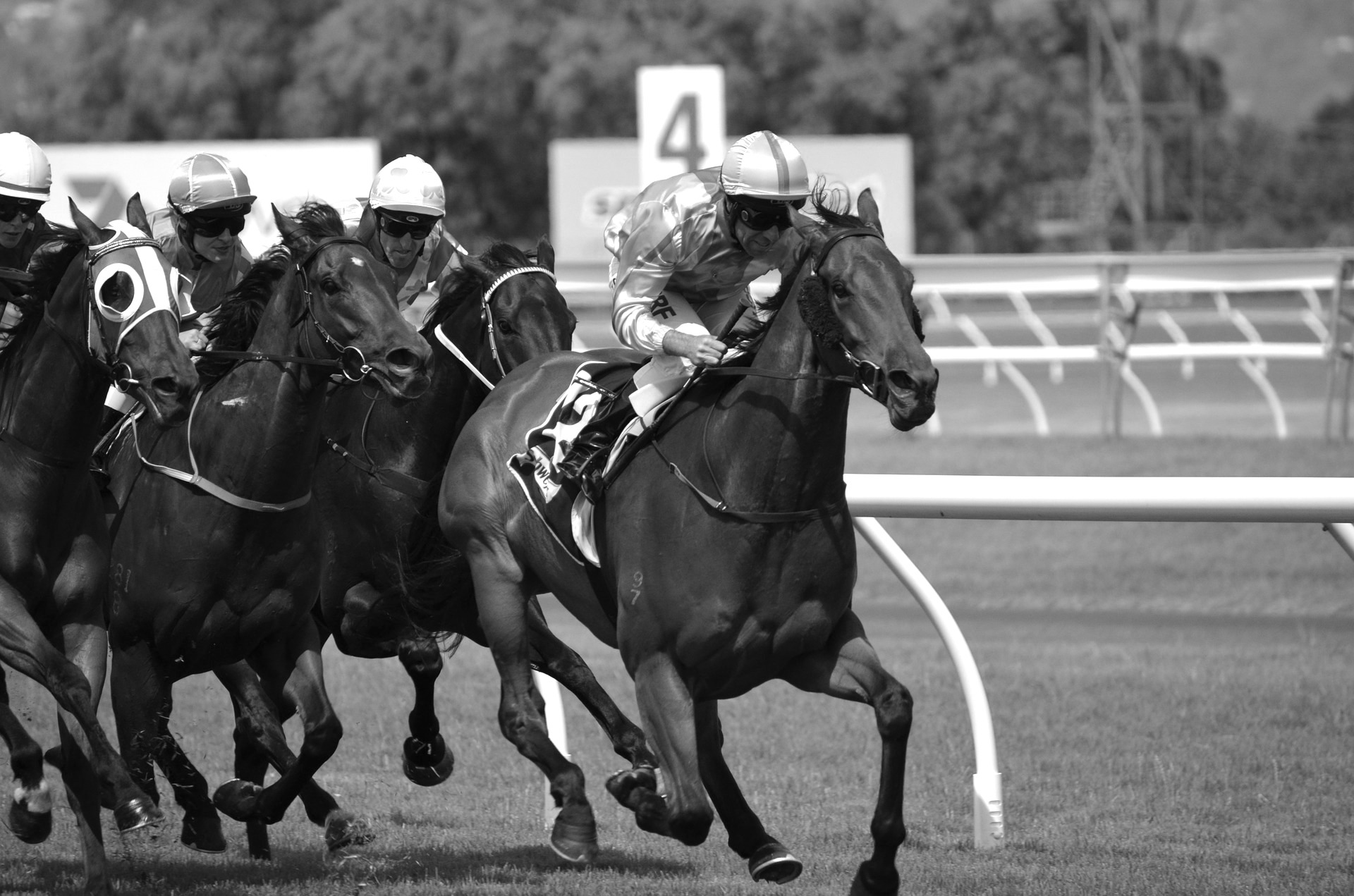 Galloping Ahead: The American Jockey Invasion