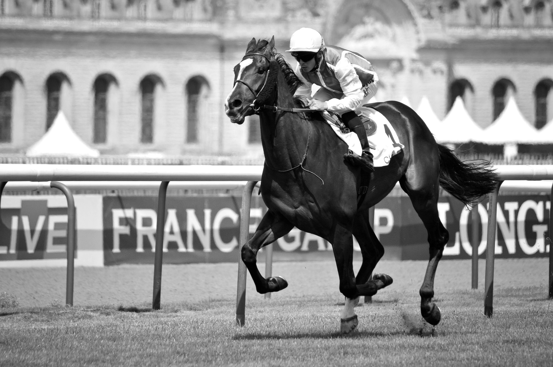 There is no such person as a fat jockey