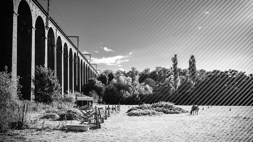 Garden cities