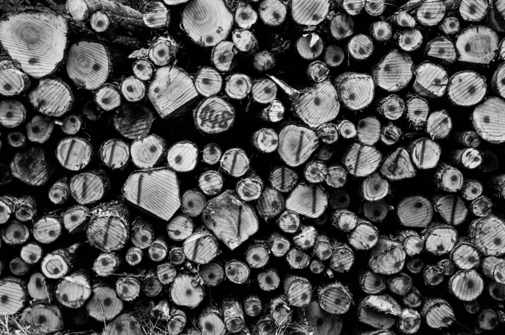 The counter-intuitive truth about the world’s resources