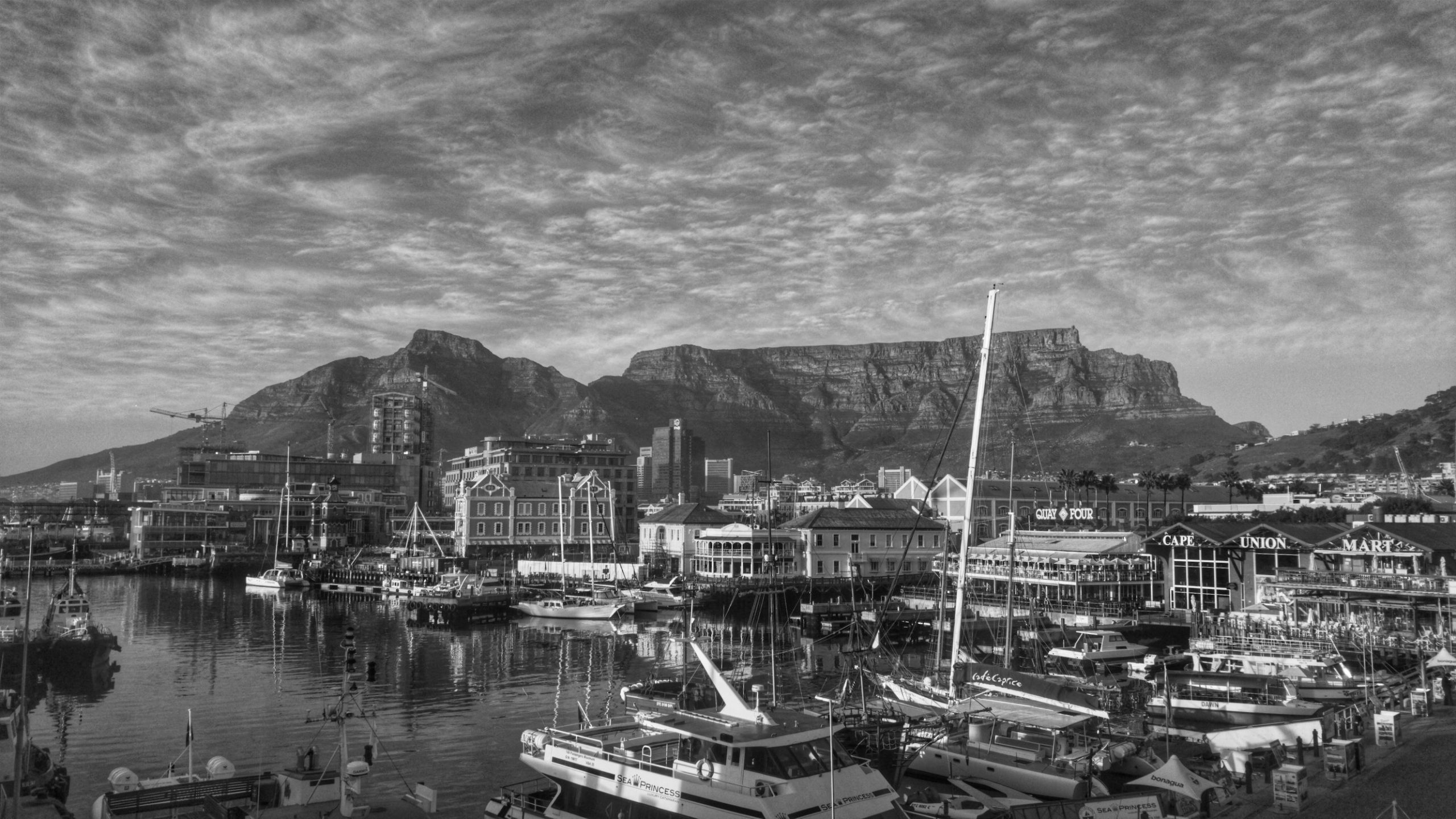 The bullish case for South African shares