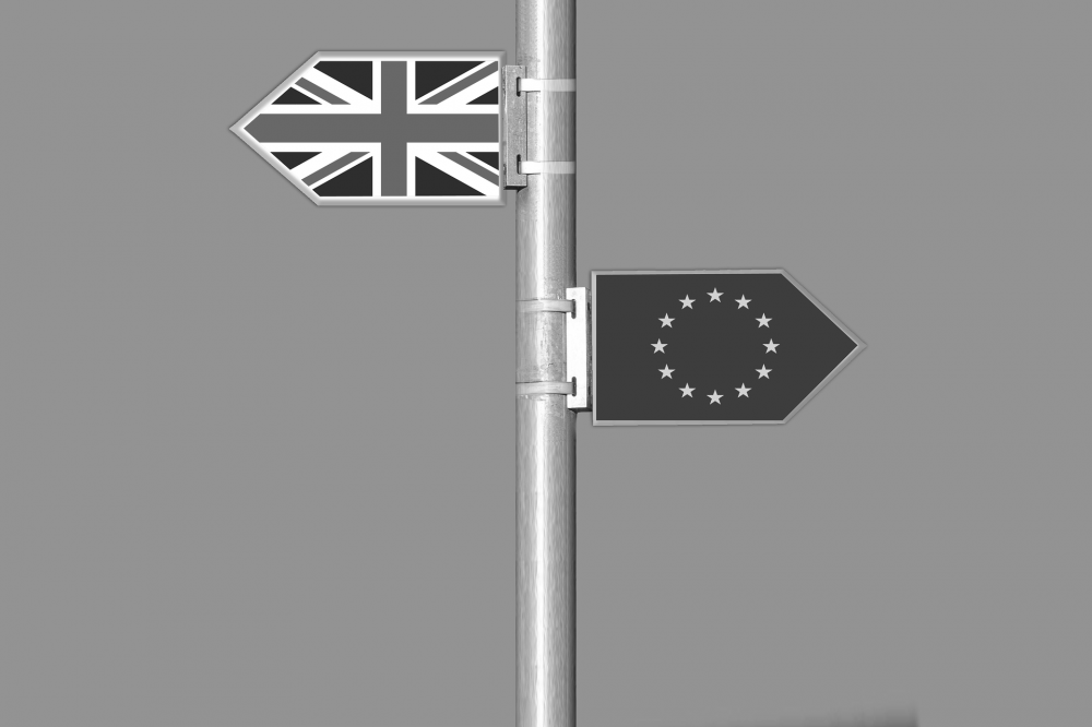 Millennials, your views on Brexit are not set in stone