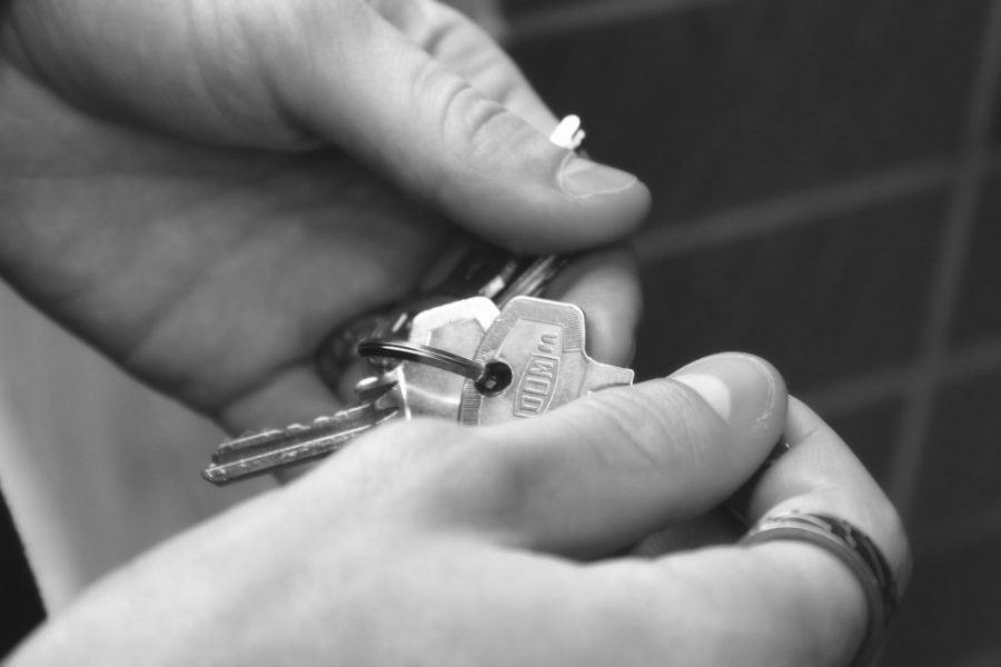 Unravelling housing demand in a crisis