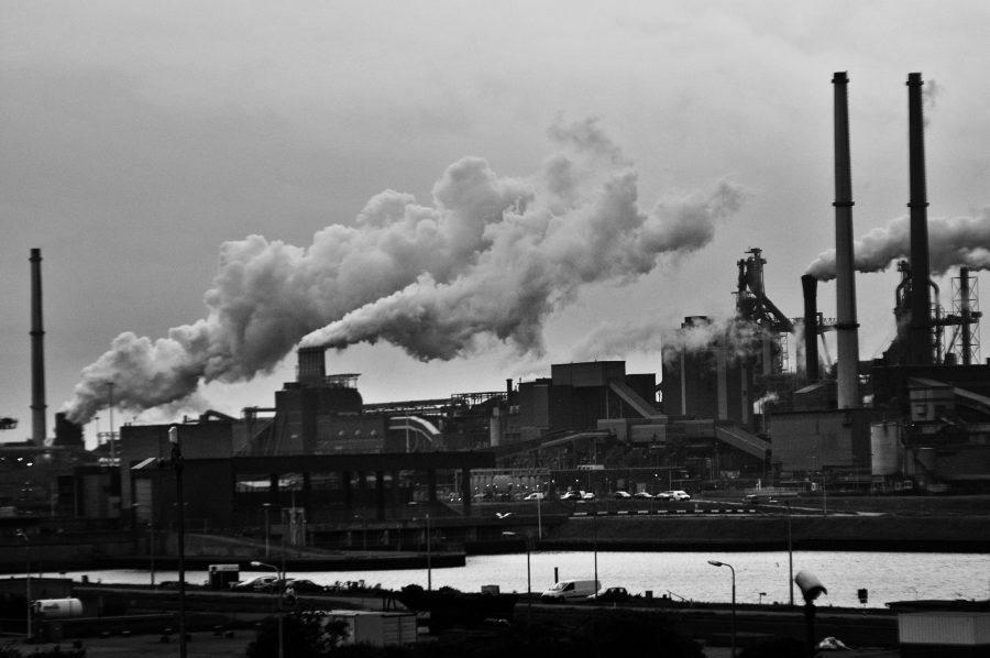 Coal dust, urban pigs and sewage – the grim reality of pre-industrial Europe
