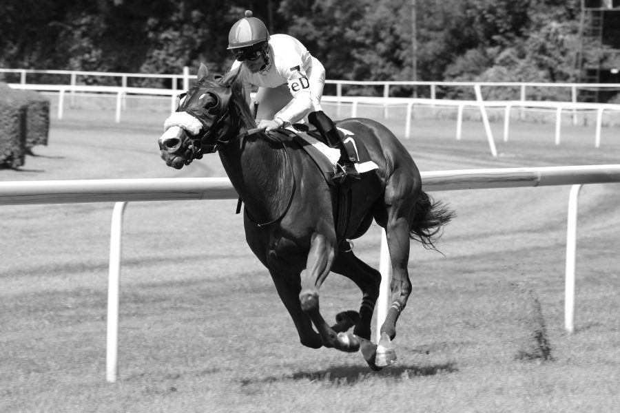 Cheltenham Festival 2019 – George marks your card