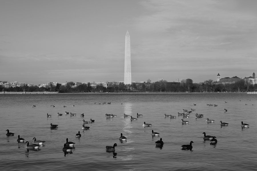 Letter from Washington