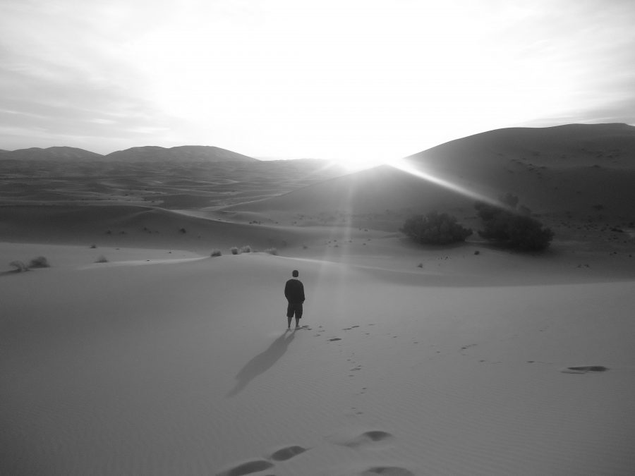 Desert Diary 6