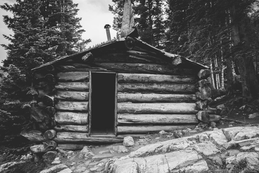 Taking Weyerhaeuser to the Woodshed