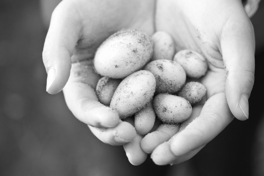 WORKING PRACTICES & LOCAL FOOD SOURCING