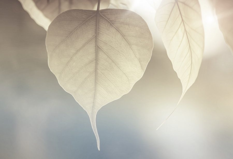 Seasonality: Is There a Pattern in Property Development?