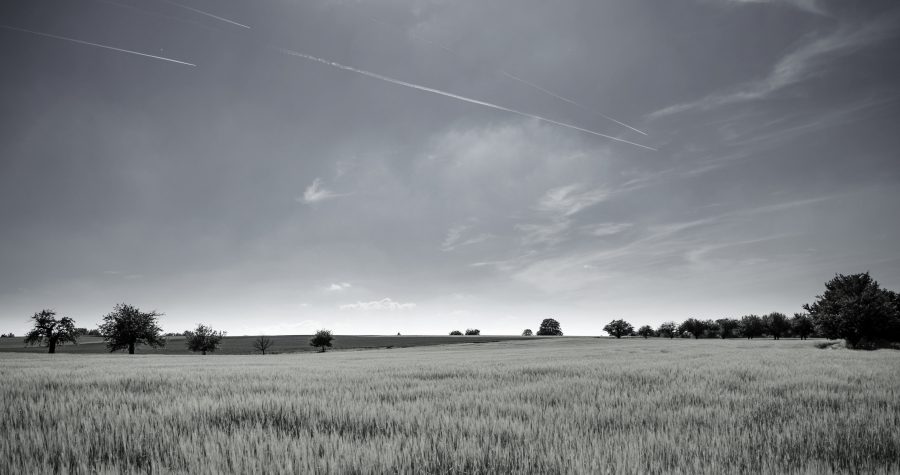 How a million new homes could make the green belt greener