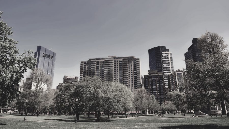 The Art of Communal Living in Property Development