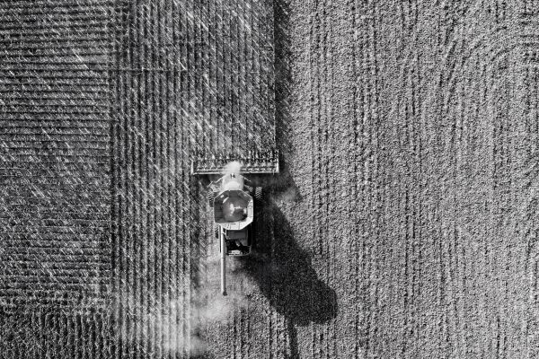 Why Industrial Agriculture is Crucial to Fighting Climate Change