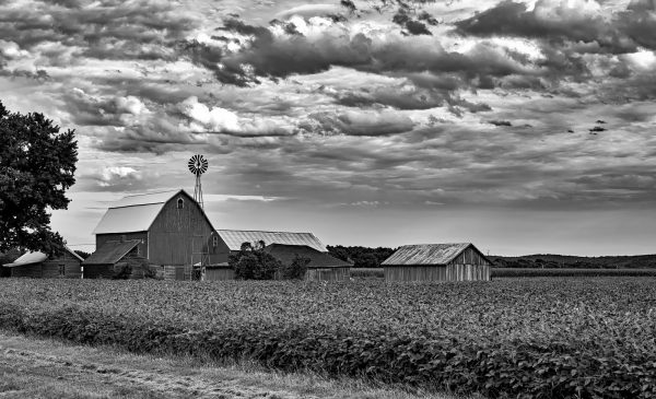 The strange business of modern farming