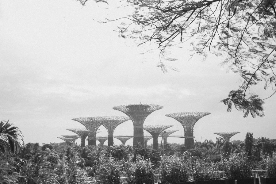 Still going strong: Singapore REITs