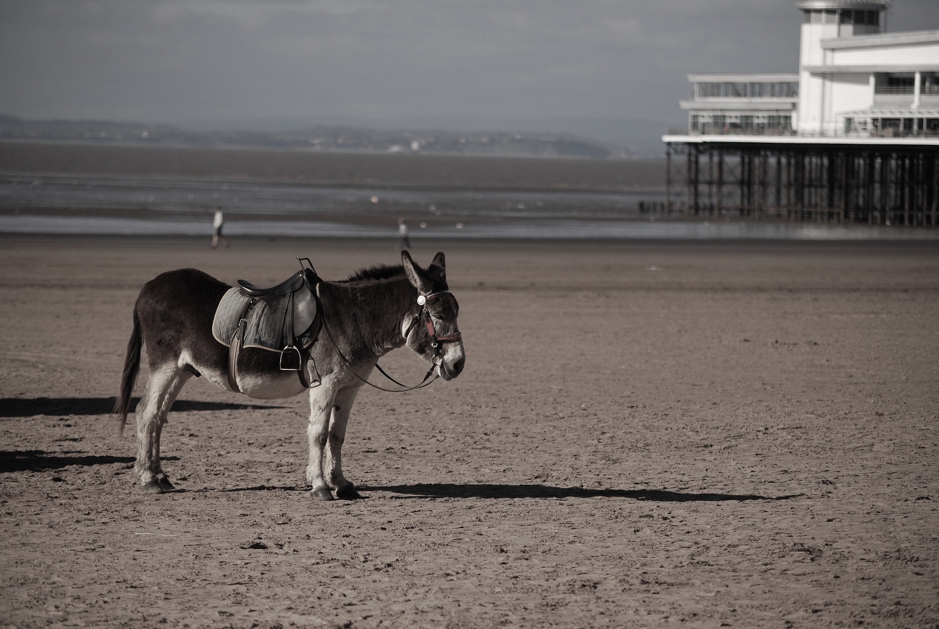 Rebalancing Britain: Blackpool has had some dark days – but its future could be bright