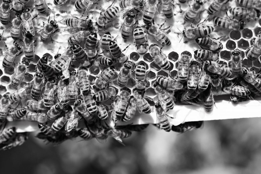 History’s first virus triggered global recession has already begun – and the Fed is clueless.