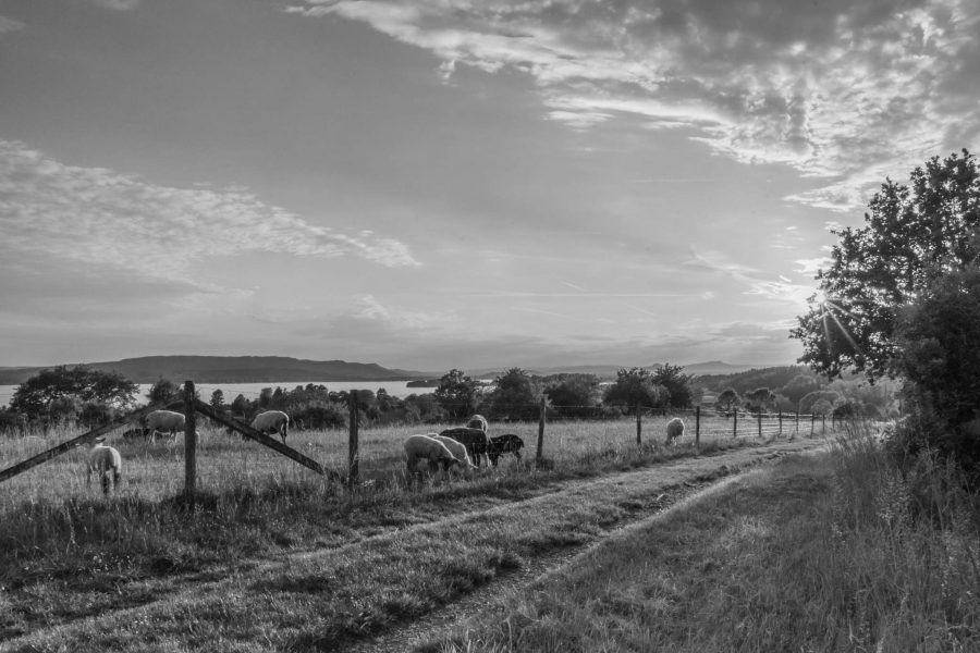 UK farming can flourish outside Europe