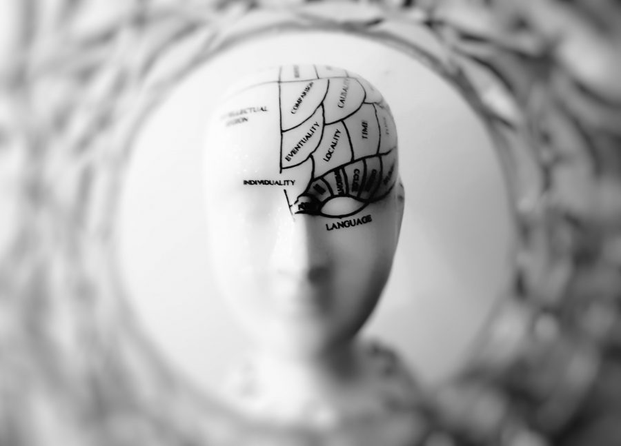 Politicians could use a lesson in neuroscience