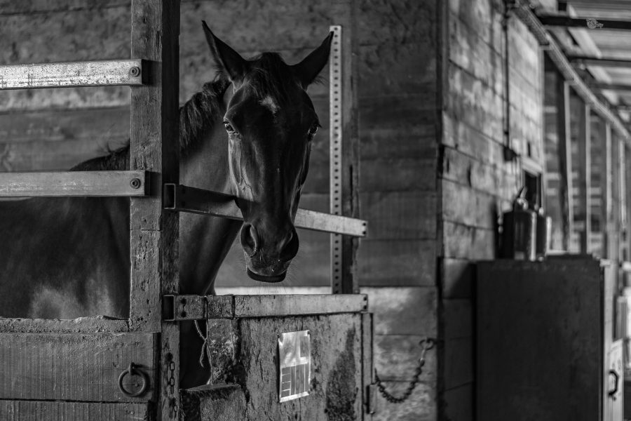Stable Doors and Gated Funds