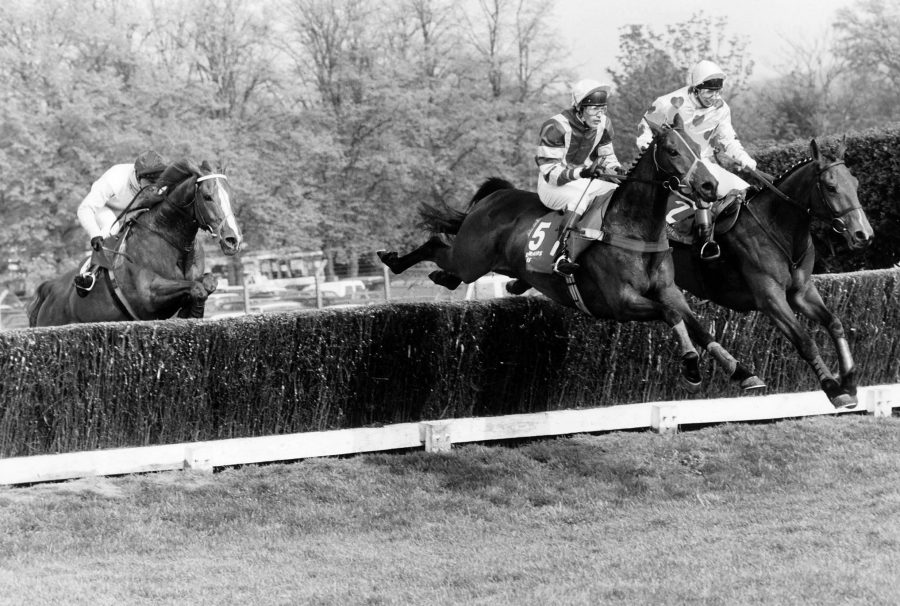 Getting an edge – the trials, triumphs and tribulations of racehorse syndicates