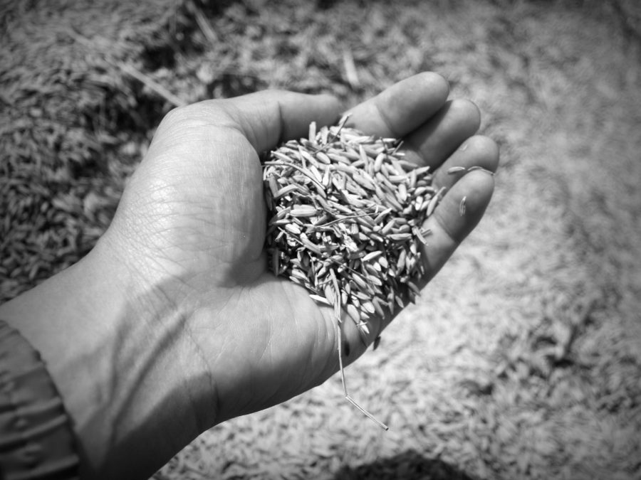 What climate targets mean for land values