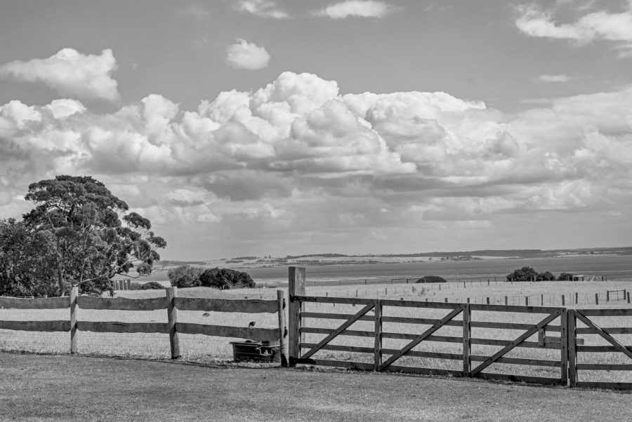 The agricultural/rural head of research