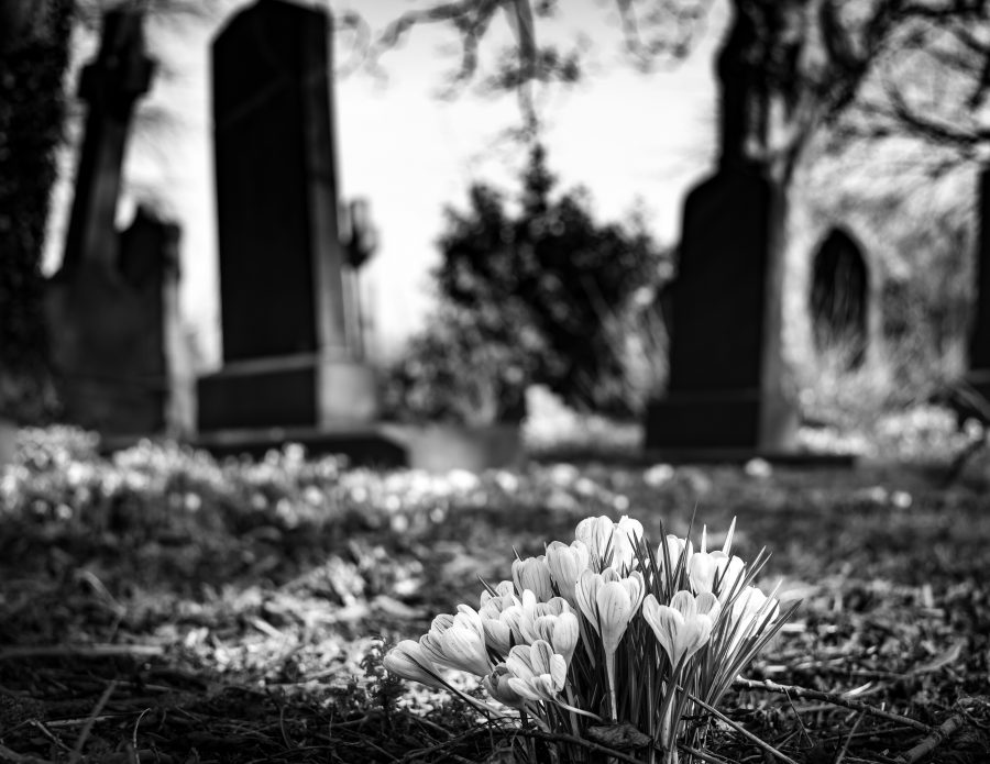 Grave Times