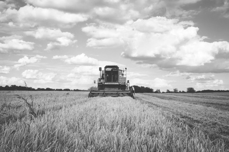 Cambridge Professor of Agriculture
