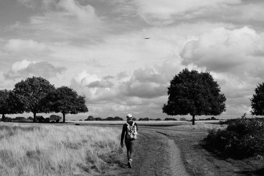 June 2021: Plodding Ahead, with Optimistic Vigilance