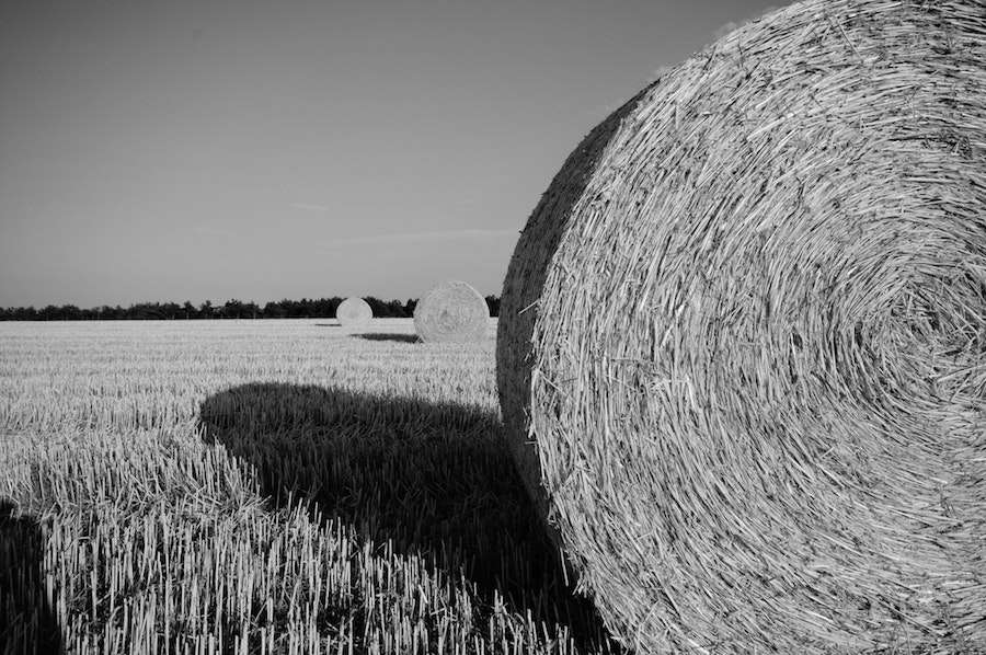 Lock Up musings from the Farm