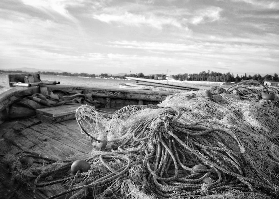 Why the Germans badly need access to UK fishing waters