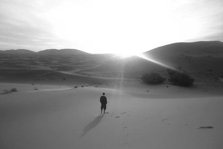 Desert diary