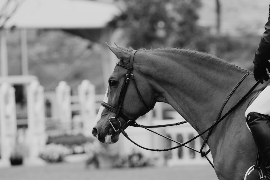Rattling around at Royal Ascot