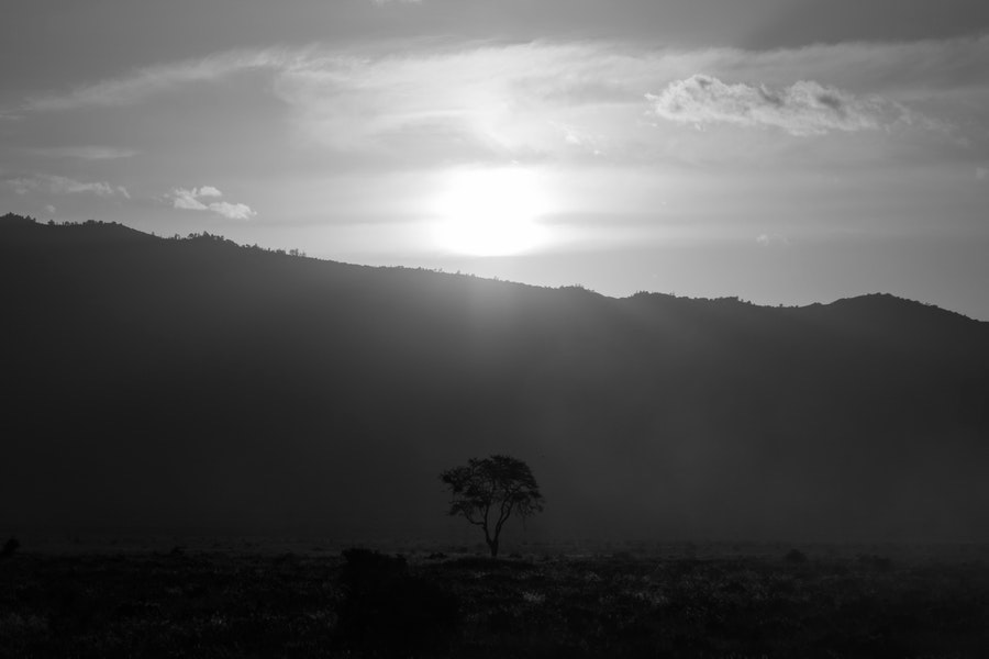 Land, territory and confrontation: the murder of Tristan Voorspuy